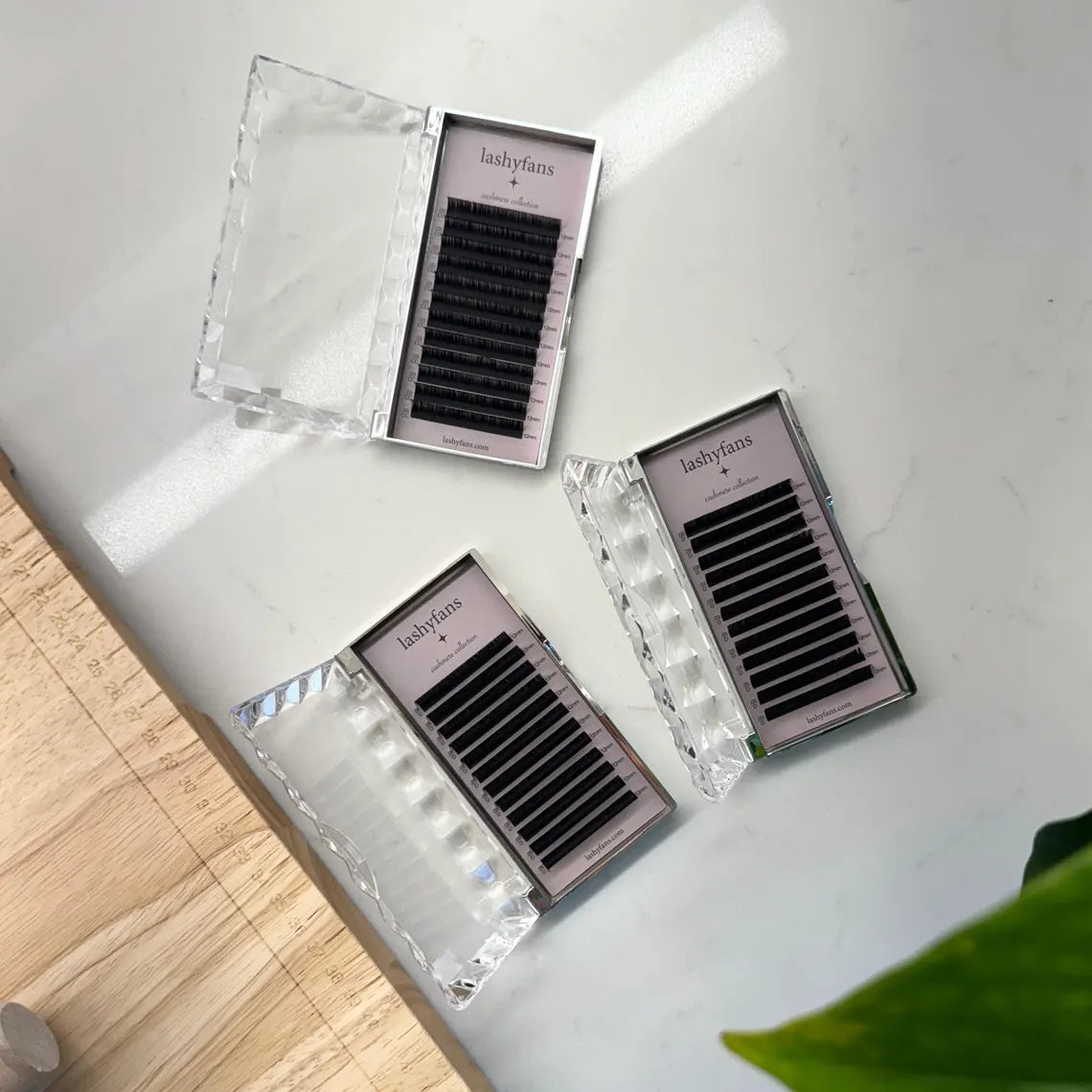 Lash Tray